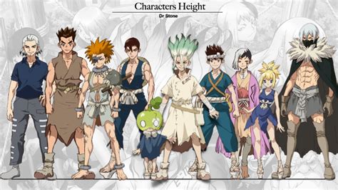 dr stone height chart